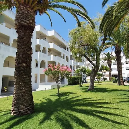 Apartment Casa Angela, 180m From The *